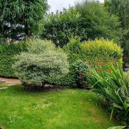 The Old Potting Shed *