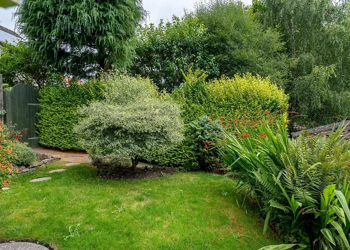 The Old Potting Shed *